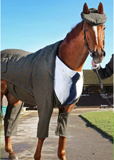 上海金慈實業有限公司,丙綸高強絲,丙綸色絲,丙綸中空絲,丙綸異形絲,丙綸夜光紗,高強丙綸絲,丙綸工業絲,丙綸熒光絲